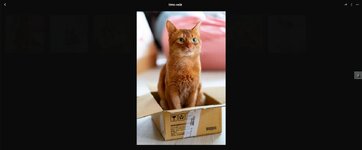 1769178423698.jpg 1769178423698.jpg