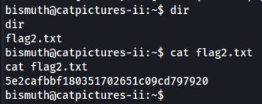 1769178839059.jpg 1769178839059.jpg