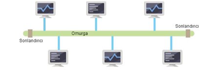 1769245562011.jpg 1769245562011.jpg