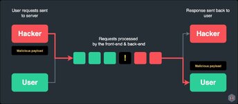 Request smuggling overview.CLH_RzPA.jpg